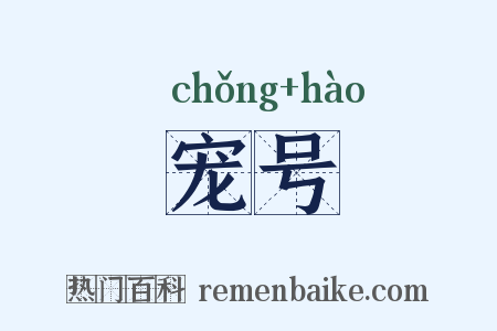 宠号是什么意思的图片
